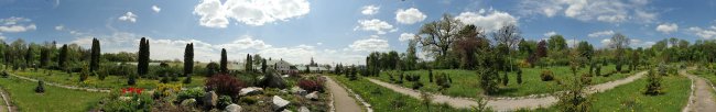 Панорама Белой Церкви: Дендропарк "Александрия". Кониферетум